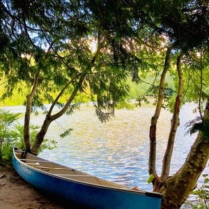 Meet your Posher, Phoebe